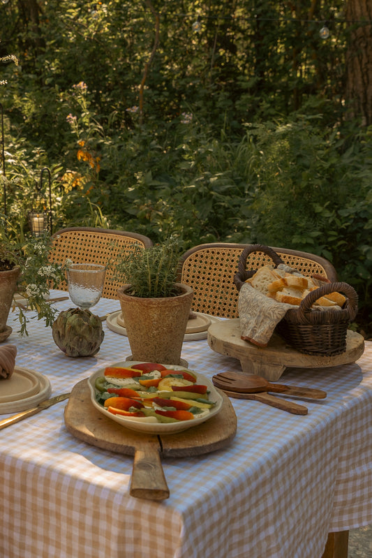 Sabra Planter and Saucer
