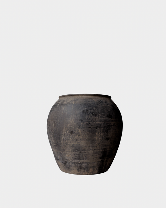 Vintage Olive Tree Pot